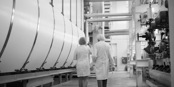 Peritajes Industriales Palomares del Campo · Informes Periciales de Ingeniería